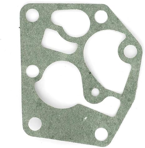Kit diafragma y junta de carburador Briggs Stratton